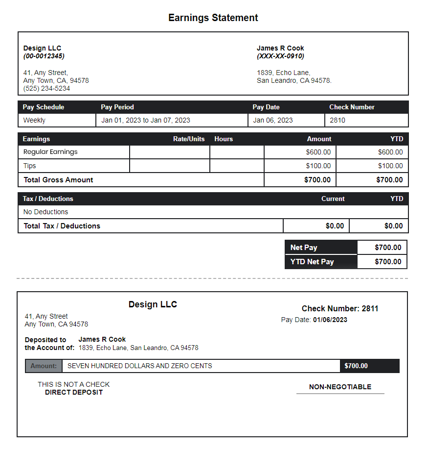 Vertical - Modern paystub template
