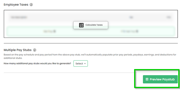 Review Your Pay Stub