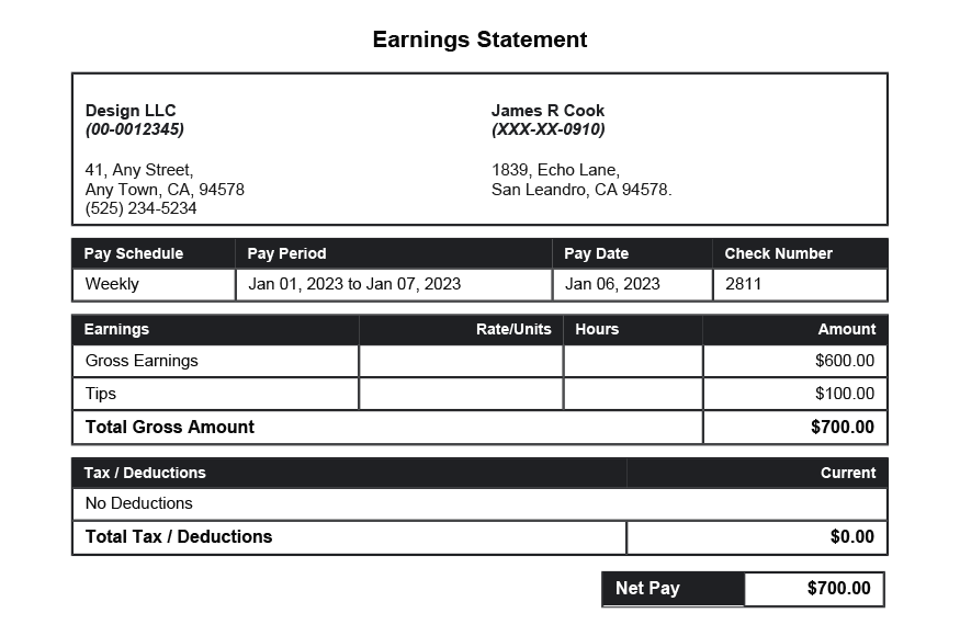 Black PayStub Template