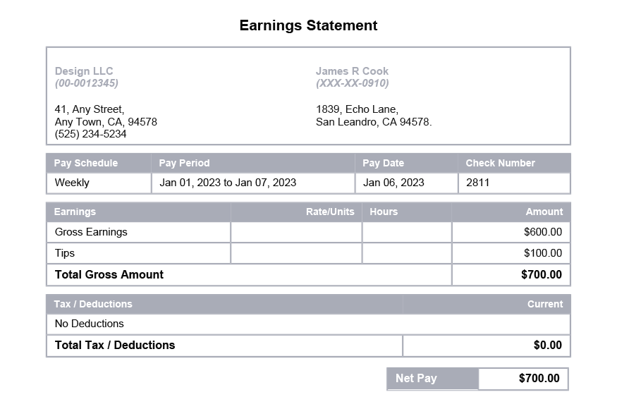 Cloud Gray PayStub Template