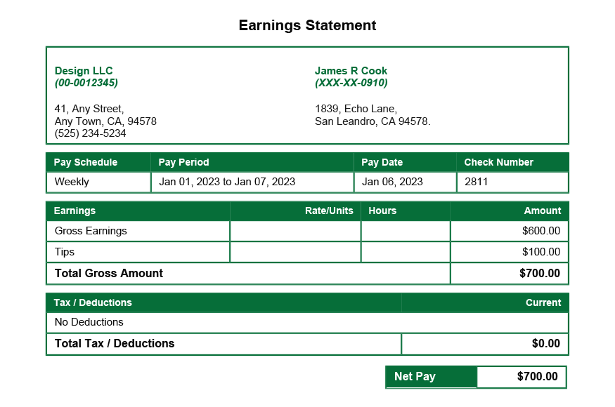 Forest Green PayStub Template
