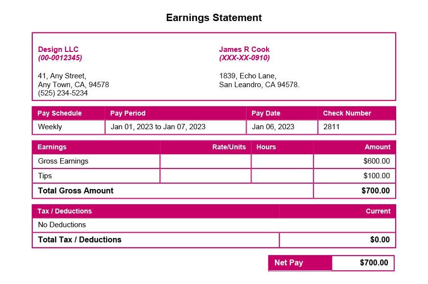 Violet Red PayStub Template