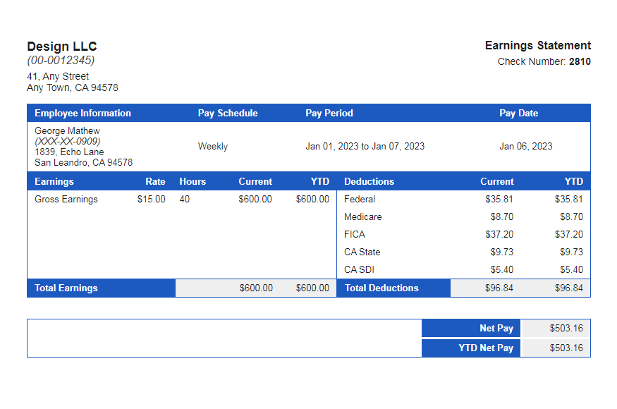 Blue paystub templates