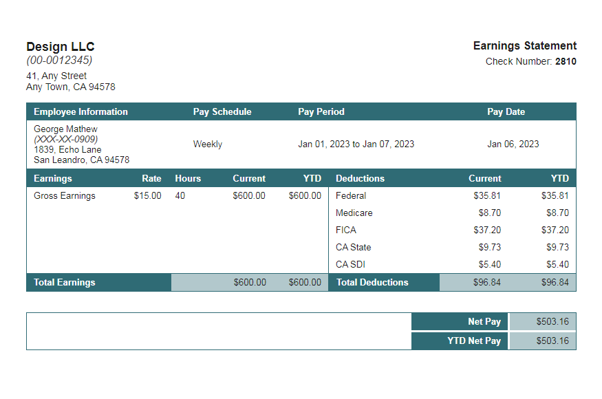 Loon Turquoise Paystub Template
